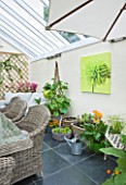 DESIGNER CLARE MATTHEWS - CONSERVATORY WITH METAL CHAIR  WICKER CHAIRS AND TABLE AND VARIOUS CONTAINERS PLANTED WITH HERBS  GERBERAS AND MELONS