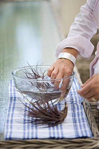 DESIGNER_CLARE_MATTHEWS_CLARE_WATERING_AIR_PLANTS_IN_A_BOWL_OF_TEPID_WATER