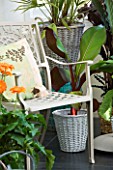 DESIGNER CLARE MATTHEWS - CONSERVATORY WITH METAL CHAIR AND CUSHION AND WICKER CONTAINERS PLANTED WITH FOLIAGE PLANTS AND GERBERAS