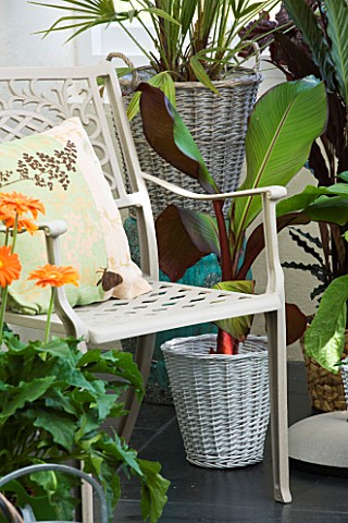 DESIGNER_CLARE_MATTHEWS__CONSERVATORY_WITH_METAL_CHAIR_AND_CUSHION_AND_WICKER_CONTAINERS_PLANTED_WIT