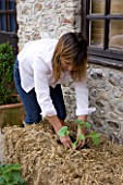 DESIGNER CLARE MATTHEWS - GROWING STRAWBERRIES AND NASTURTIUMS IN A STRAW BALE: ADD A HANDFUL OF MULTI-PURPOSE COMPOST TO EACH HOLE AND PUSH THE YOUNG PLANTS INTO THE HOLES