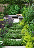 DESIGNER CHARLOTTE ROWE, LONDON: SMALL, TOWN, CITY, GARDEN, PATH, ALCHEMILLA, MOLLIS, WOODEN BENCH, SEAT, FENCE, FENCING, CUSHIONS