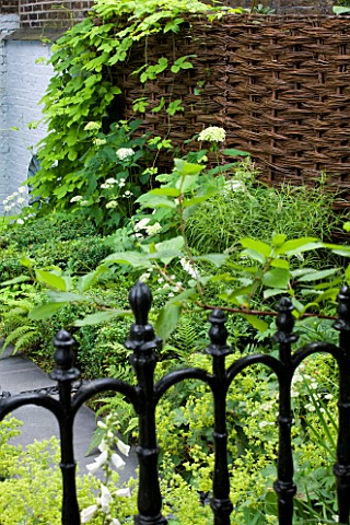 DESIGNER_CHARLOTTE_ROWE_LONDON_SMALL_TOWN_CITY_FORMAL_CONTEMPORARY_GARDEN_PAVING_TERRACE_PATIO_FENCE