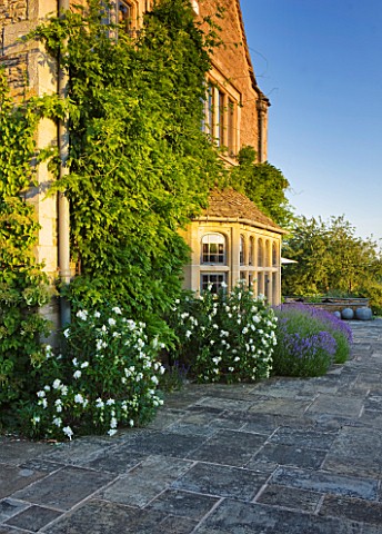 WHATLEY_MANOR__WILTSHIRE_THE_MANOR_HOUSE_WITH_STONE_FLAGS_AND_CISTUS_AND_LAVENDER