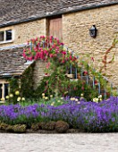 WHATLEY MANOR  WILTSHIRE: THE COURTYARD WITH LAVENDER AND ALLIUMS  ROSES UP THE STEPS