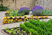 WHATLEY MANOR  WILTSHIRE: THE POTAGER/ VEGETABLE GARDEN WITH MARIGOLDS AND LAVENDER