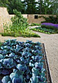 WHATLEY MANOR  WILTSHIRE: THE POTAGER/ VEGETABLE GARDEN WITH CABBAGES  SWEET CORN AND LAVENDER