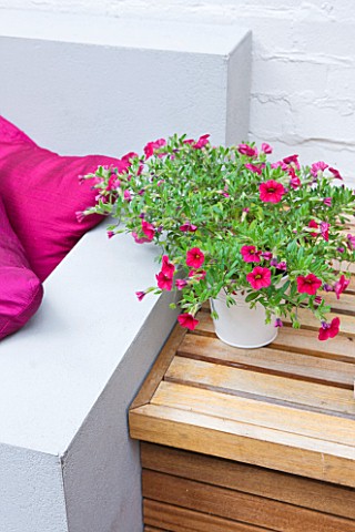 JARDINROSAINSPIRATIONS__SMALL_TOWN_GARDEN_HANDMADE_WHITE_PAINTED_OUTDOOR_SOFA_A__PLACE_TO_SIT__PINK_