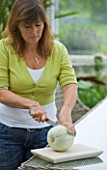 DESIGNER CLARE MATTHEWS: CLARE CUTS UP  A SWEETHEART MELON IN HER CONSERVATORY