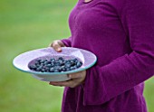DESIGNER CLARE MATTHEWS: CLARE HOLDING A BOWL OF BLUEBERRIES