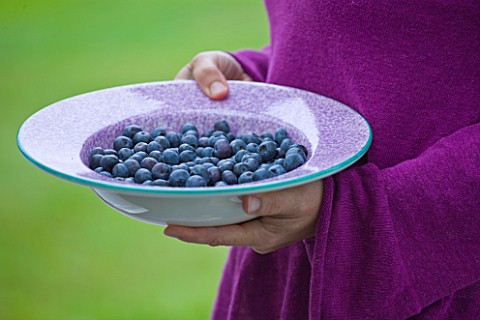DESIGNER_CLARE_MATTHEWS_CLARE_HOLDING_A_BOWL_OF_BLUEBERRIES