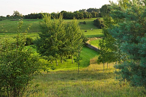 WHATLEY_MANOR__WILTSHIRE_VIEW_OF_THE_SEMI__SHADE_MEADOW_WITH_SILVER_BIRCH_TREES_AND_THE_COUNTRYSIDE_