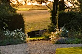 WHATLEY MANOR  WILTSHIRE: VIEW OUT TO THE WILTSHIRE COUNTRYSIDE FROM THE GRAND LAWN WITH WOODEN BENCH  EVENING LIGHT