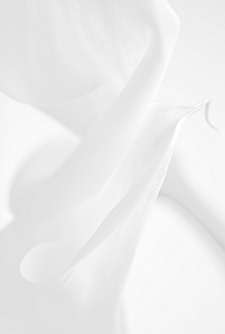 BLACK_AND_WHITE_CLOSE_UP_IMAGE_OF_ARUM_LILY
