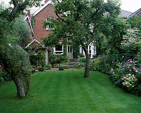 WELLKEPT_LAWN__PATIOTERRACE_AT_BACK_OF_HOUSE_WITH_ALPINE_TROUGHS_DESIGNER_MALLEY_TERRY