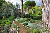 NINFA GARDEN, GIARDINI DI NINFA, ITALY: PATH THROUGH INFORMAL PLANTING WITH PINE AND RUINED BUILDING IN THE BACKGROUND. LAWN, ROMANTIC, ITALIAN GARDEN, MEDITTERANEAN