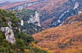 THE PRIORY OF SAINT-SYMPHORIEN  LUBERON  FRANCE: VIEW OF THE HILLSIDES WITH AUTUMN COLOUR