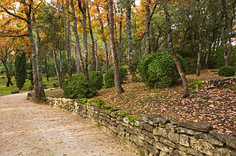THE_PRIORY_OF_SAINTSYMPHORIEN__LUBERON__FRANCE__AUTUMN_THE_MAIN_DRIVE_WITH_TREES_AND_CLIPPED_SHRUBS