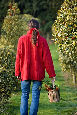 HIGHFIELD_HOLLIES__HAMPSHIRE__GIRL_IN_RED_JUMPER_CARRYING_WOODEN_BASKET_OF_MIXED_HOLLIES
