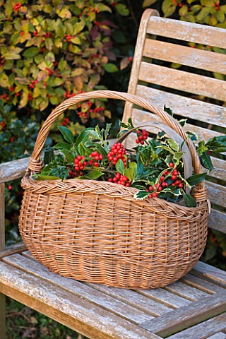 HIGHFIELD_HOLLIES__HAMPSHIRE__WOODEN_BENCH_AND_BASKET_WITH_HOLLIES