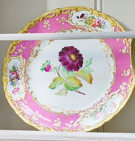 DESIGNER_BUTTER_WAKEFIELD__LONDON__THE_CONSERVATORY__PLATE_IN_CUPBOARD_ON_WALL