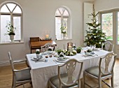 DESIGNER: JACKY HOBBS  LONDON: DINING/ LIVING ROOM AT CHRISTMAS - TABLE AND CHAIRS LAID FOR CHRISTMAS DINNER  CHRISTMAS TREE  URNS IN WINDOWS WITH LILIES