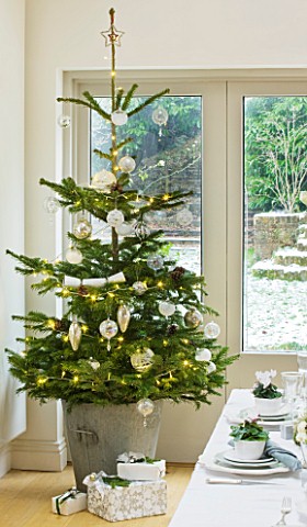 DESIGNER_JACKY_HOBBS__LONDON_THE_DINING_ROOM_AT_CHRISTMAS_WITH_CHRISTMAS_TREE_AND_PRESENTS