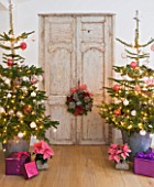 DESIGNER: JACKY HOBBS  LONDON: THE LIVING ROOM AT CHRISTMAS WITH DOOR  WREATH AND TWO CHRISTMAS TREES WITH PRESENTS