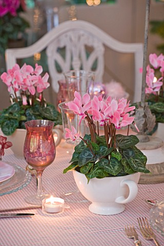 DESIGNER_JACKY_HOBBS__LONDON_THE_LIVING_ROOM_AT_CHRISTMAS_WITH_DINING_TABLE_SET_WITH_PINK_CYCLAMEN_I