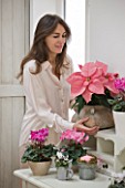 DESIGNER: JACKY HOBBS  LONDON: JACKY HOBBS IN THE LIVING ROOM AT CHRISTMAS WITH WHITE DRESSER WITH PINK CYCLAMEN AND POINSETTIAS IN CONTAINERS. HOUSEPLANTS