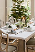 DESIGNER: JACKY HOBBS  LONDON: THE DINING ROOM AT CHRISTMAS - DINING TABLE SET WITH WHTE LINEN AND CYCLAMEN IN CONTAINERS WITH CHRISTMAS TREE BEHIND