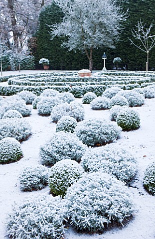 FORMAL_TOWN_GARDEN_IN_SNOW__OXFORD__WINTER_DESIGN_BY_LIZ_NICHOLSON__BOX_HEDGING_AND_BALLS_OF_LAVENDE