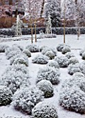 FORMAL TOWN GARDEN IN SNOW  OXFORD  WINTER: DESIGN BY LIZ NICHOLSON - BALLS OF LAVENDER - LAVANDULA X INTERMEDIA GROSSO