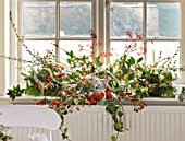 BRUERN COTTAGES  OXFORDSHIRE: CHRISTMAS - WINDOW DECORATION MADE WITH HIPS ETC FROM THE GARDEN BY COLIN BOLAM