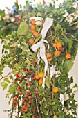 BRUERN COTTAGES  OXFORDSHIRE: CHRISTMAS - IVY  ROSE HIPS AND COTONEASTER BERRIES IN STAIRCASE DECORATION