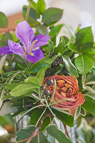 BRUERN_COTTAGES__OXFORDSHIRE_CHRISTMAS__A_DRIED_ROSE_AND_IRIS_UNGUICULARIS_FROM_THE_GARDEN_IN_A_VASE