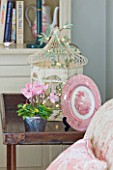 BRUERN COTTAGES  OXFORDSHIRE: CHRISTMAS - THE LIVING ROOM - SETTEE COFFEE TABLE WITH CYCLAMEN  PINK CHINA PLATE AND BIRDCAGE WITH FAIRY LIGHTS
