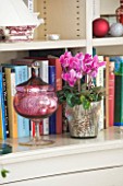 BRUERN COTTAGES  OXFORDSHIRE: CHRISTMAS - THE LIVING ROOM - BOOKCASE WITH CYCLAMEN IN CONTAINER AND CRANBERRY GLASSWARE