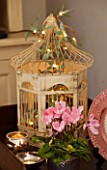BRUERN COTTAGES  OXFORDSHIRE: CHRISTMAS - THE LIVING ROOM - CREAM BIRDCAGE WITH FAIRY LIGHTS  CANDLES  AND CYCLAMEN IN CONTAINER