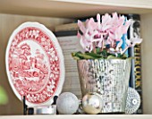 BRUERN COTTAGES  OXFORDSHIRE: CHRISTMAS - THE LIVING ROOM - BOOKCASE WITH CYCLAMEN IN CONTAINER AND CERAMIC PLATE