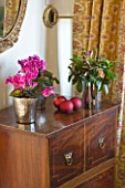BRUERN COTTAGES  OXFORDSHIRE: CHRISTMAS - RICH MAHOGANY WOOD CHEST OF DRAWERS WITH CYCLAMEN IN THE MASTER BEDROOM