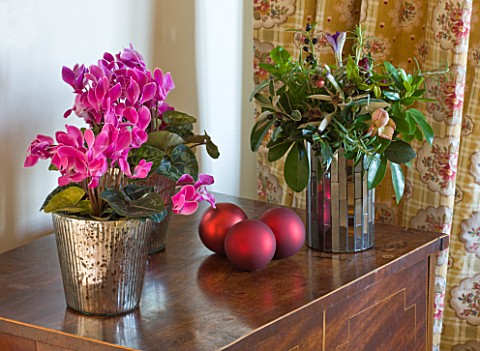 BRUERN_COTTAGES__OXFORDSHIRE_CHRISTMAS__RICH_MAHOGANY_WOOD_CHEST_OF_DRAWERS_WITH_CYCLAMEN_IN_THE_MAS