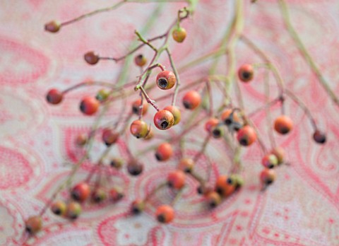 BRUERN_COTTAGES__OXFORDSHIRE_CHRISTMAS__BERRY_DECORATION_ON_FABRIC