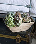 DESIGNER CAROLYN MINTY  GLOUCESTERSHIRE - GUEST BEDROOM WITH IRON BED AND VINTAGE LEATHER TRUNK - TRUG WITH DRIED HYDRANGEAS