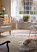 DESIGNER CAROLYN MINTY  GLOUCESTERSHIRE - VIEW THROUGH THE SITTING ROOM WITH SULA IN THE FOREGROUND