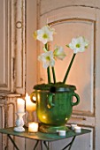 WHITE FLOWERS OF AMARYLLIS HIPPEASTRUM CHRISTMAS GIFT IN GREEN GLAZED CONTAINERS ON TABLE - STYLING BY JACKY HOBBS