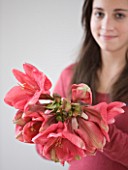 GIRL HOLDING HIPPEASTRUM HERCULES - STYLING BY JACKY HOBBS