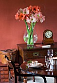DINING ROOM WITH CUT FLOWER VASE FILLED WITH AMARYLLIS - AMARYLLIS HIPPEASTRUM DESIRE AND DARLING - STYLING BY JACKY HOBBS