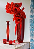 RED CONTAINER WITH AMARYLLIS IN BLUE BEDROOM - AMARYLLIS HIPPEASTRUM - RED LION - STYLING BY JACKY HOBBS