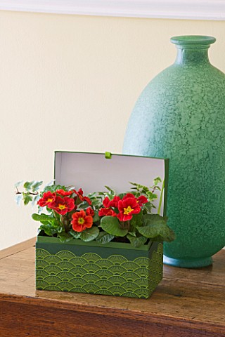 DESIGNER_CLARE_MATTHEWS__HOUSEPLANT_PROJECT__RECYCLED_GREEN_LINED_GIFT_BOX_CONTAINER_PLANTED_WITH_PR